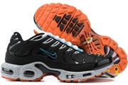 Nike Air Max TN 8909-295